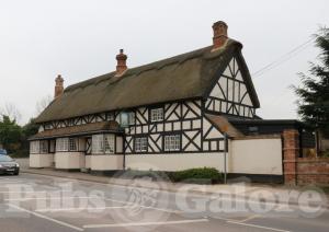 Picture of The White Lion