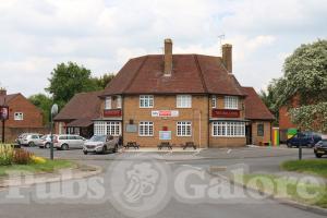 Picture of The Bulldog