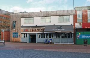 Picture of Black Swan in Hand