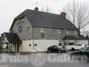 Picture of Toby Carvery Cedar Tree at Nuneaton