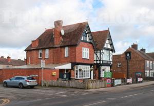 Picture of The White Lion