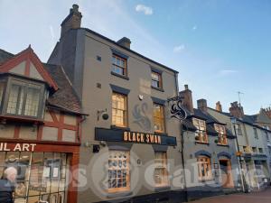 Picture of The Black Swan / Dirty Duck