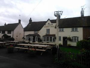 Picture of The Green Man