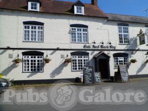 Picture of The Oak & Black Dog