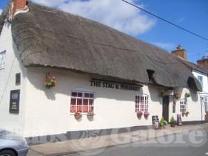 Picture of Stag & Pheasant Inn
