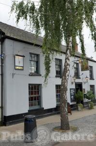 Picture of The Lamplighter