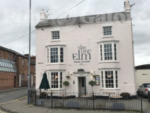 Picture of The One Elm