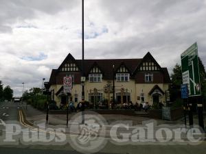 Picture of The Bear & Staff