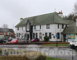 Picture of Court Oak