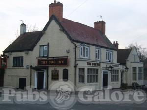 Picture of The Dog Inn