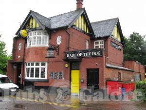 Picture of Hare of the Dog