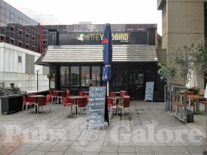 Picture of The Yardbird