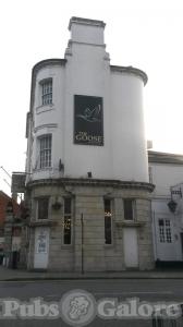 Picture of Goose at the OVT
