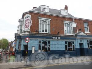 Picture of Bristol Pear