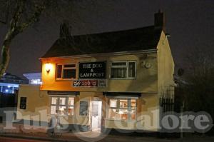 Picture of The Dog & Lamp-post
