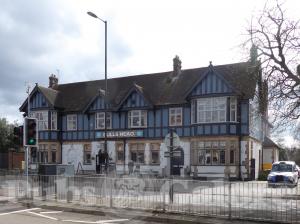Picture of Bulls Head