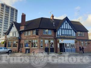 Picture of The Aardvark