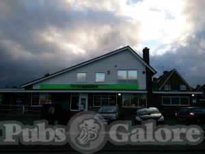 Picture of Plume Of Feathers