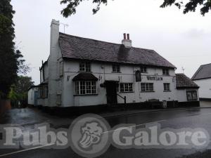 Picture of The White Lion