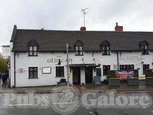 Picture of The Old Cat