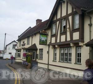 Picture of The Talbot