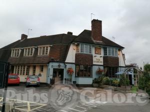 Picture of The Roebuck