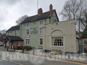 Picture of The Vine