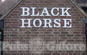 Picture of Black Horse