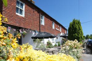 Picture of The Sportsman