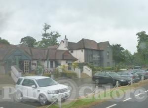 Picture of The White Swan