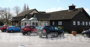 Picture of The Martlets