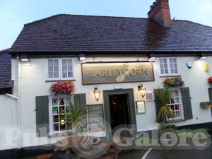 Picture of The Barleycorn