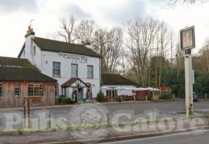 Picture of The Curious Pig in the Parlour