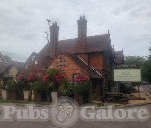 New picture of The Parsons Pig
