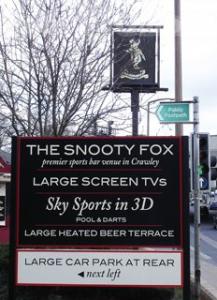Picture of The Snooty Fox