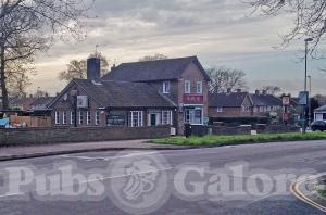 Picture of The Apple Tree