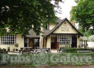 Picture of The Dog & Bacon Inn