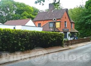 Picture of The Dragon