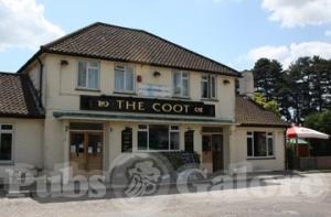 Picture of The Coot