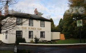 Picture of The Sussex Oak