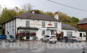 Picture of The White Horse