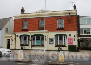 Picture of The Cricketers