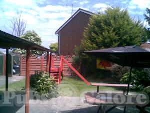 Picture of The Dolphin