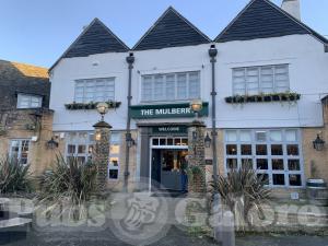 Picture of The Mulberry