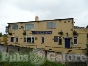 Picture of The Blue Pig