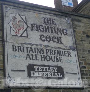 Picture of The Fighting Cock