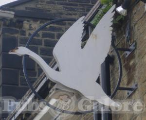 Picture of The White Swan