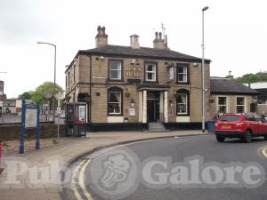 Picture of Black Bull