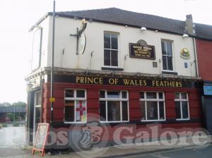 Picture of Prince of Wales Feathers