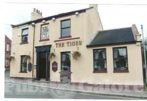 Picture of The Tiger